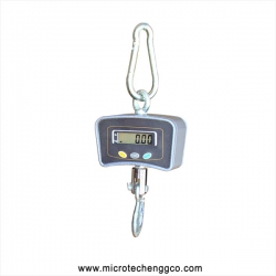 Electronic Crane Scale