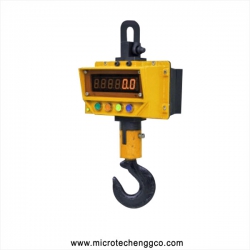 Electronic Crane Scale