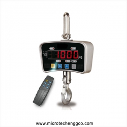 Electronic Crane Scale